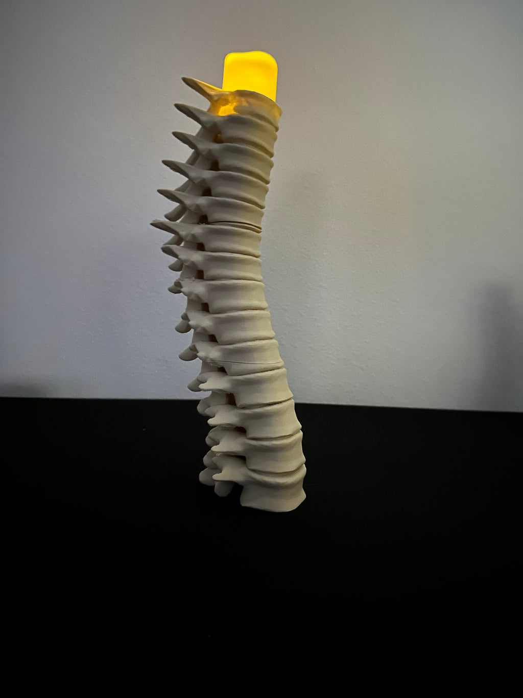 Spine Candle Holder Set of 3 – Gothic Skeleton Decor for LED Tea Lights