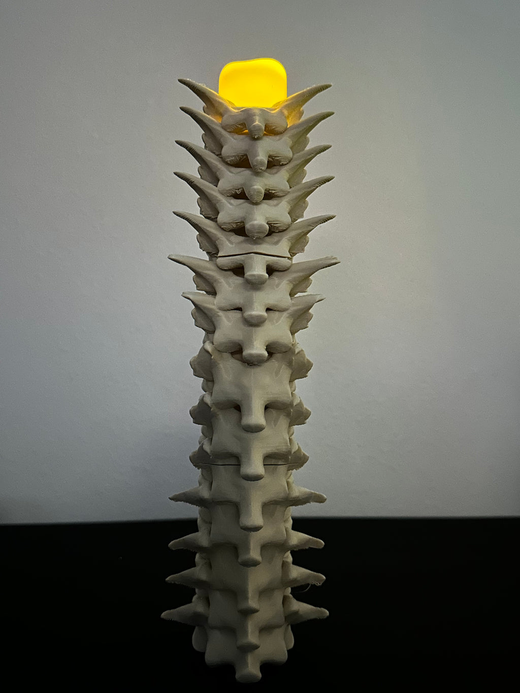Spine Candle Holder Set of 3 – Gothic Skeleton Decor for LED Tea Lights