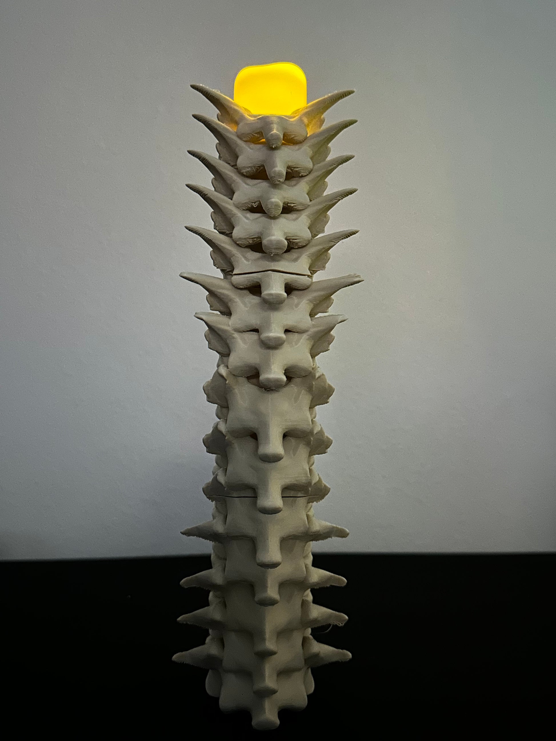 Spine Candle Holder Set of 3 – Gothic Skeleton Decor for LED Tea Lights