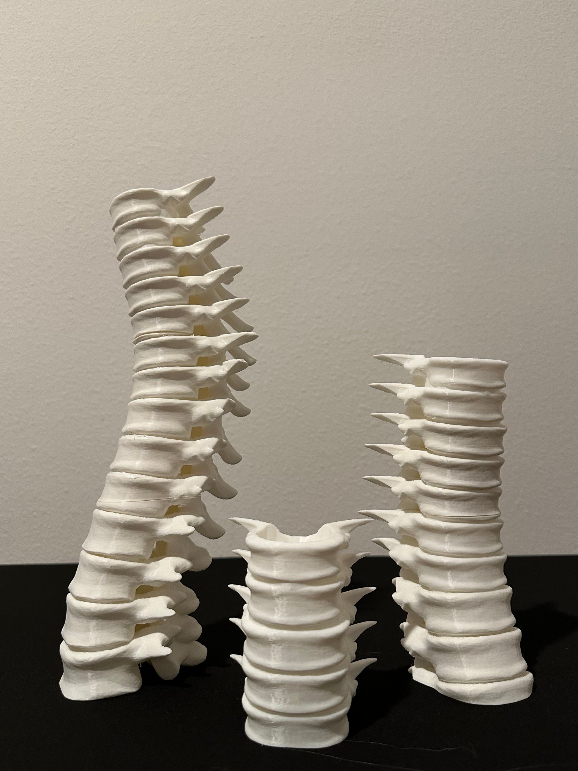 Spine Candle Holder Set of 3 – Gothic Skeleton Decor for LED Tea Lights