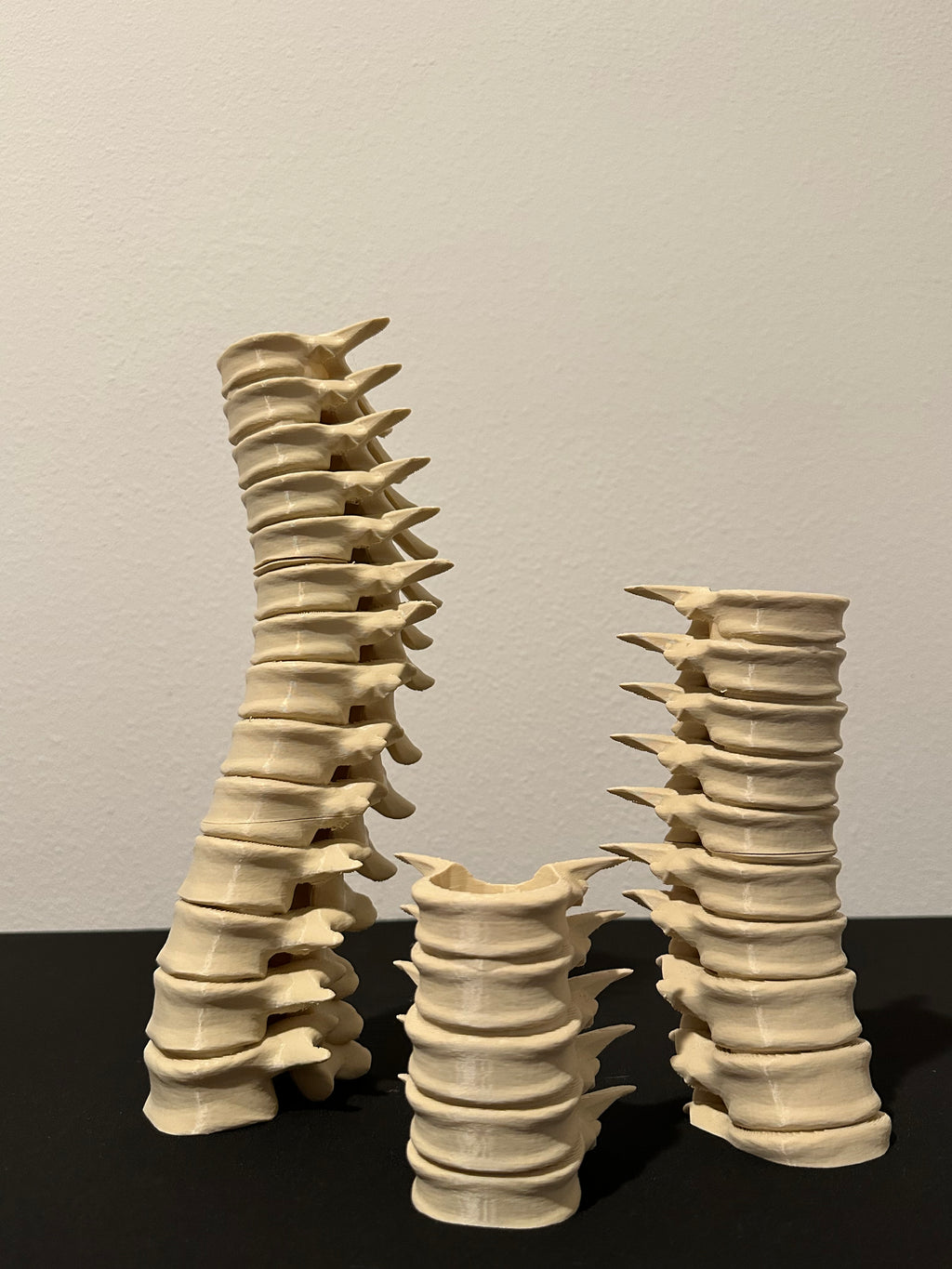 Spine Candle Holder Set of 3 – Gothic Skeleton Decor for LED Tea Lights