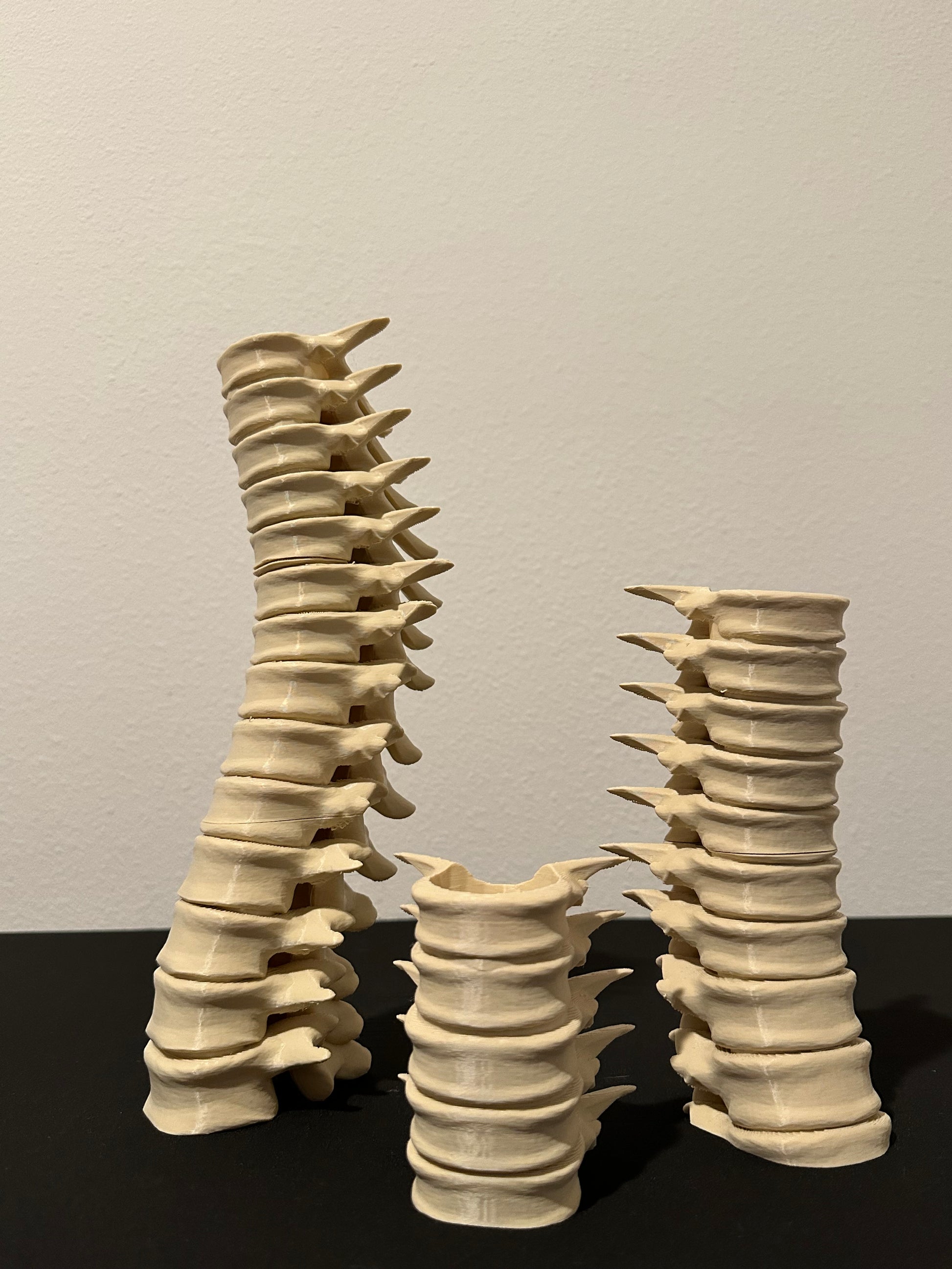 Spine Candle Holder Set of 3 – Gothic Skeleton Decor for LED Tea Lights