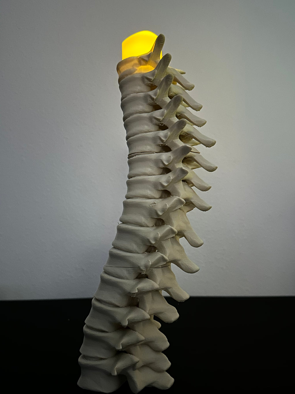 Spine Candle Holder Set of 3 – Gothic Skeleton Decor for LED Tea Lights