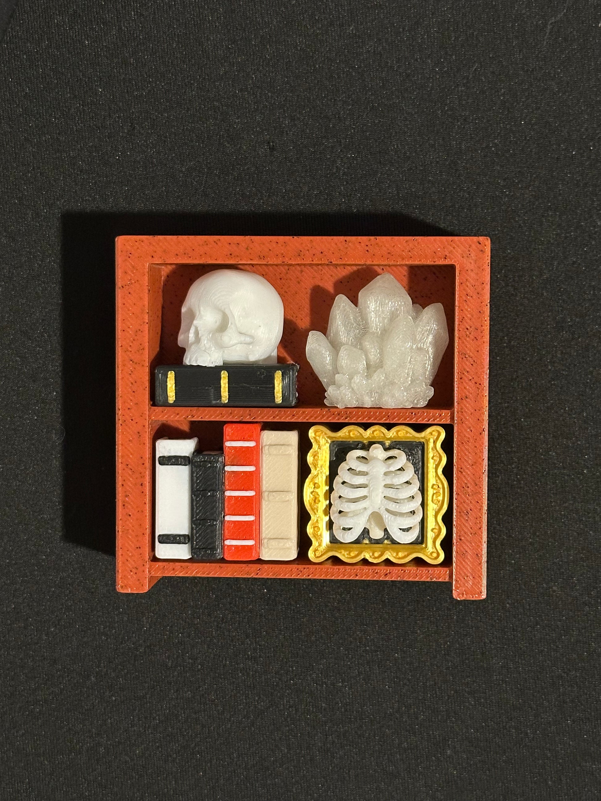 Custom Bookshelf Clicker Fidget – 3D Printed Sensory Desk Toy