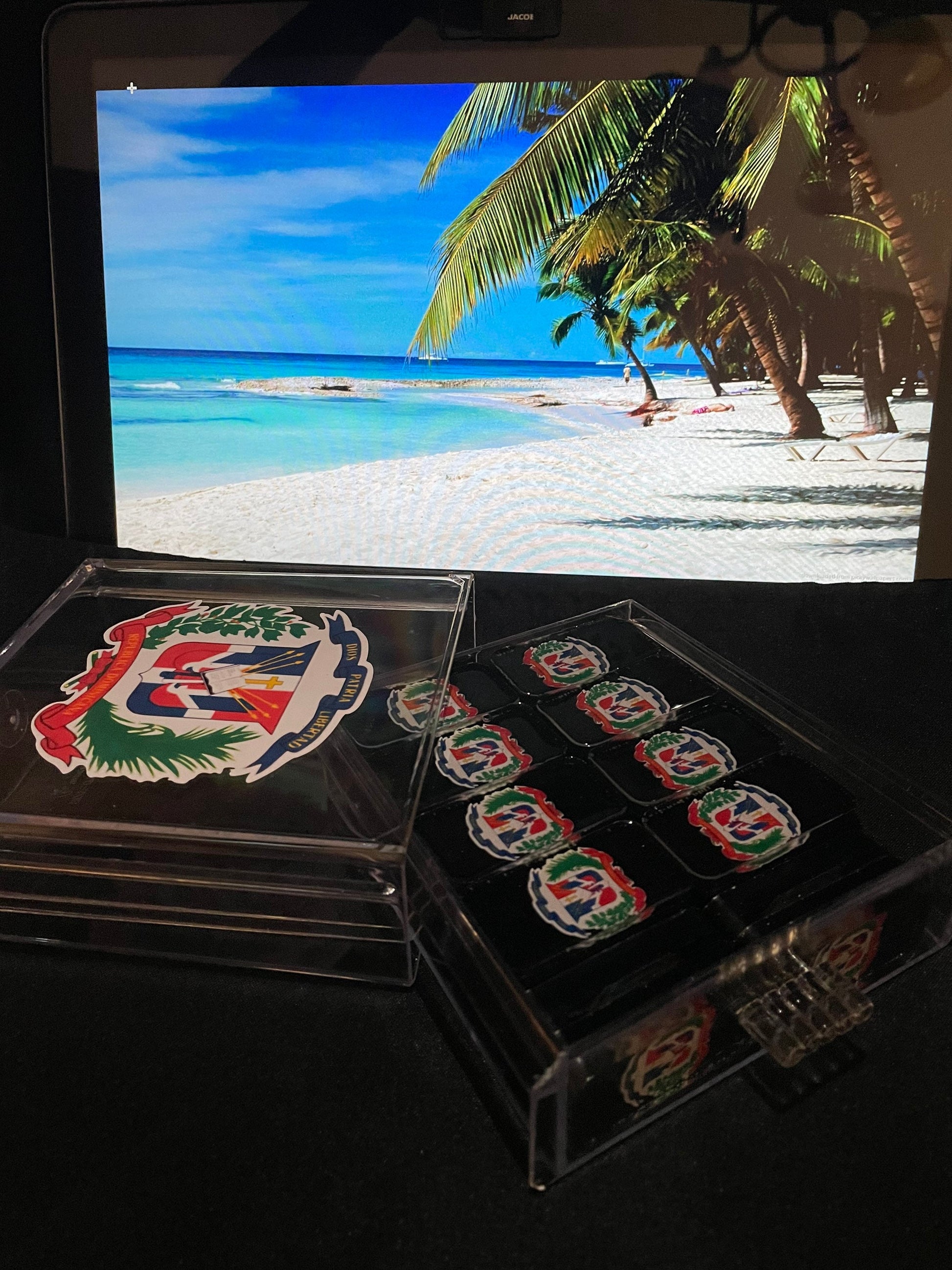Handmade Double Six Dominican Shield Resin Domino Set with Hard Case