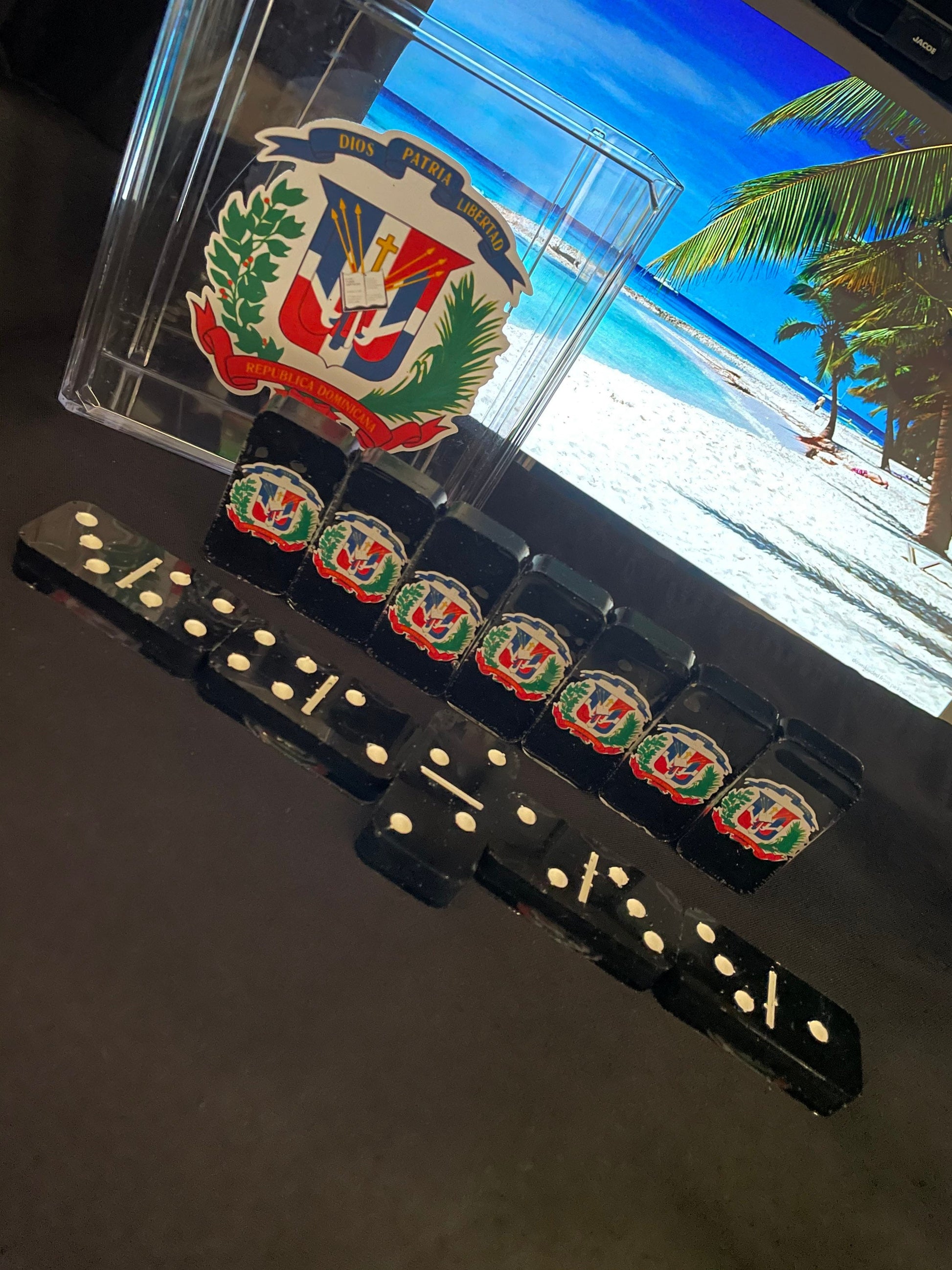 Handmade Double Six Dominican Shield Resin Domino Set with Hard Case