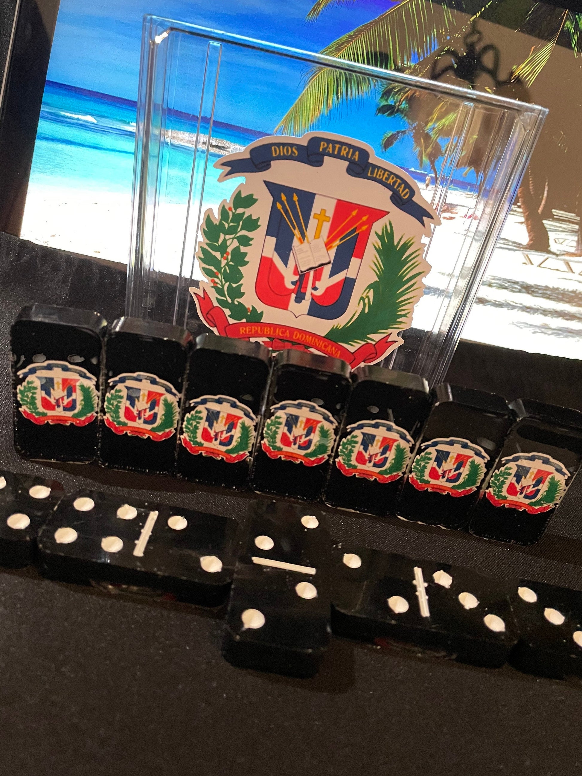 Handmade Double Six Dominican Shield Resin Domino Set with Hard Case