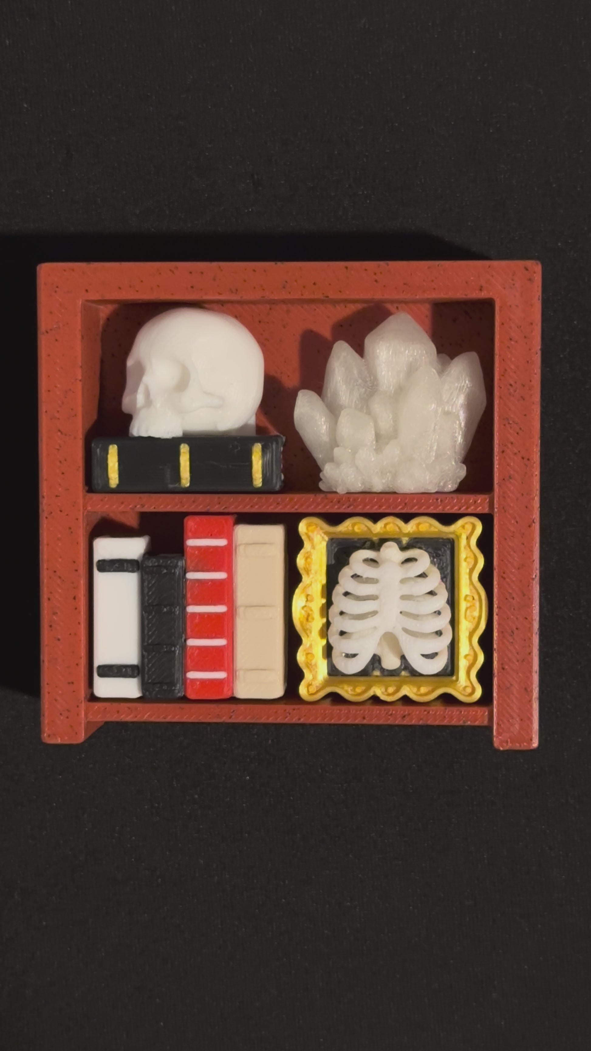 Custom Bookshelf Clicker Fidget – 3D Printed Sensory Desk Toy